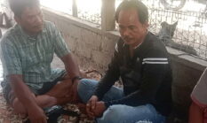 berita-pilihan-foto