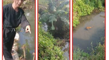 Empat Tahun Berlalu, Kesepakatan Tinggal Dokumen? Ahli Waris Desak Pemkab Bandung Barat dan DLH Realisasikan Janji Perbaikan Sawah Terdampak